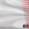 Tunisia Soccer Flag Wii Remote Controller Skin
